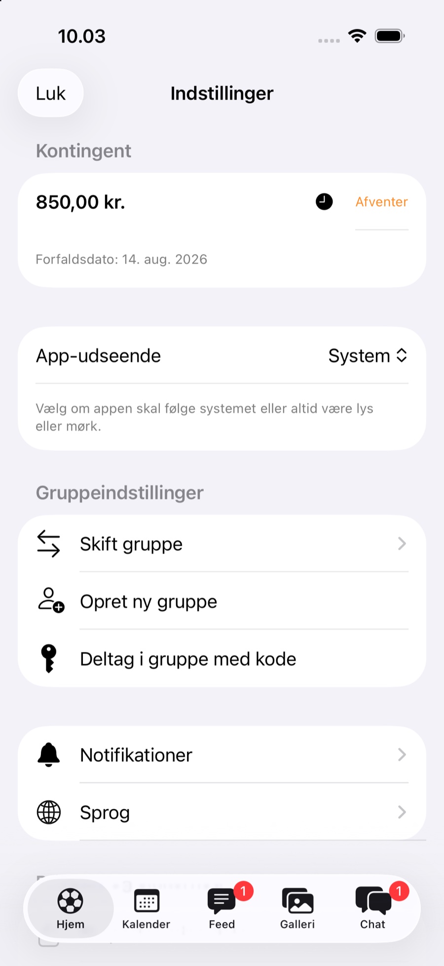 Kontingentoversigt i Grupys indstillinger